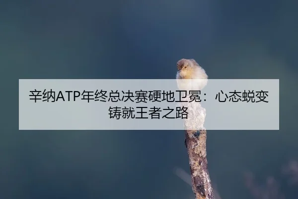 xin-na-nian-zhong-zong-jue-sai-ying-di-wei-mian-xin-tai-tui-bian-zhu-jiu-wang-zhe-zhi-lu-2-770.jpg
