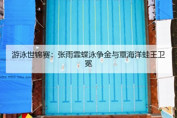 you-yong-shi-jin-sai-zhang-yu-fei-die-yong-zheng-jin-yu-tan-hai-yang-wa-wang-wei-mian-3-964.jpg