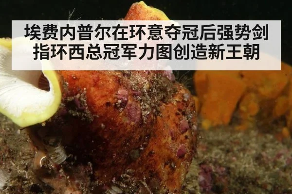 埃费内普尔在环意夺冠后强势剑指环西总冠军力图创造新王朝