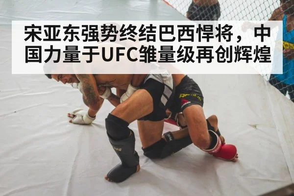 宋亚东强势终结巴西悍将,中国力量于UFC雏量级再创辉煌