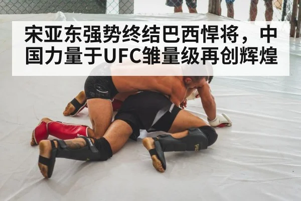 mixed martial arts fight
