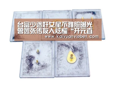 台富少迷奸女星不雅照曝光 曾嚣张传友人炫耀“开元直播”(图1) 开元直播