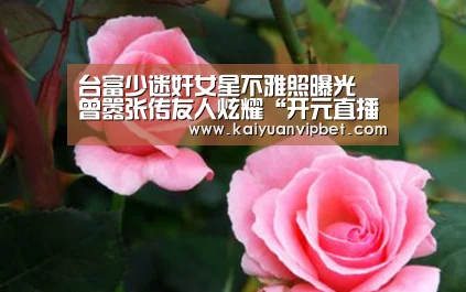 台富少迷奸女星不雅照曝光 曾嚣张传友人炫耀“开元直播”(图3) 开元登录